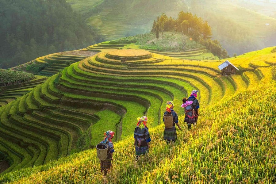 Northern Vietnam Cycle Trip 7 Days
