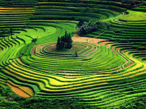 Sapa Ethnic Groups and Their Unique Cultural Beauty Sapa Ethnic Groups and Their Unique Cultural Beauty