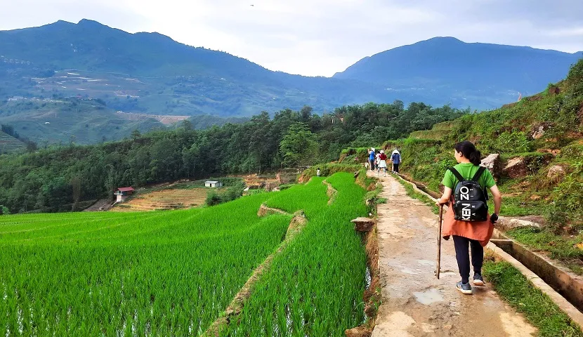 Muong Hoa Valley Unveiling the Serenity of A Sapa's Hidden Gem Muong Hoa Valley Unveiling the Serenity of A Sapa's Hidden Gem