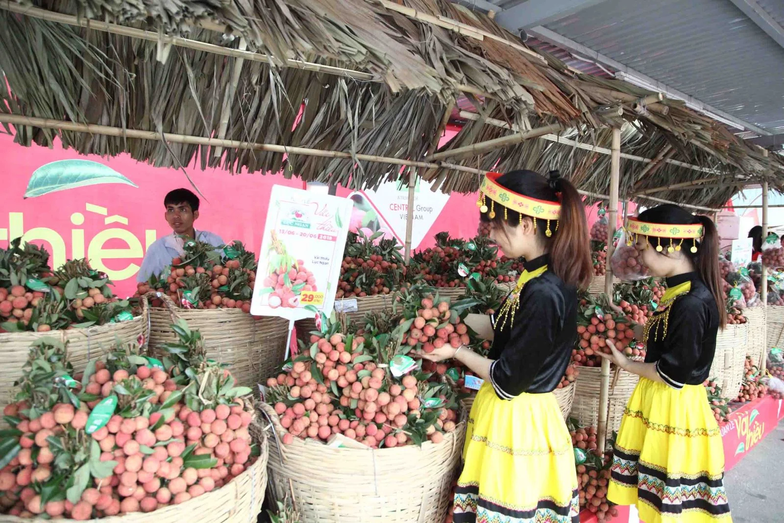 Luc Ngan Bac Giang Luc Ngan Bac Giang