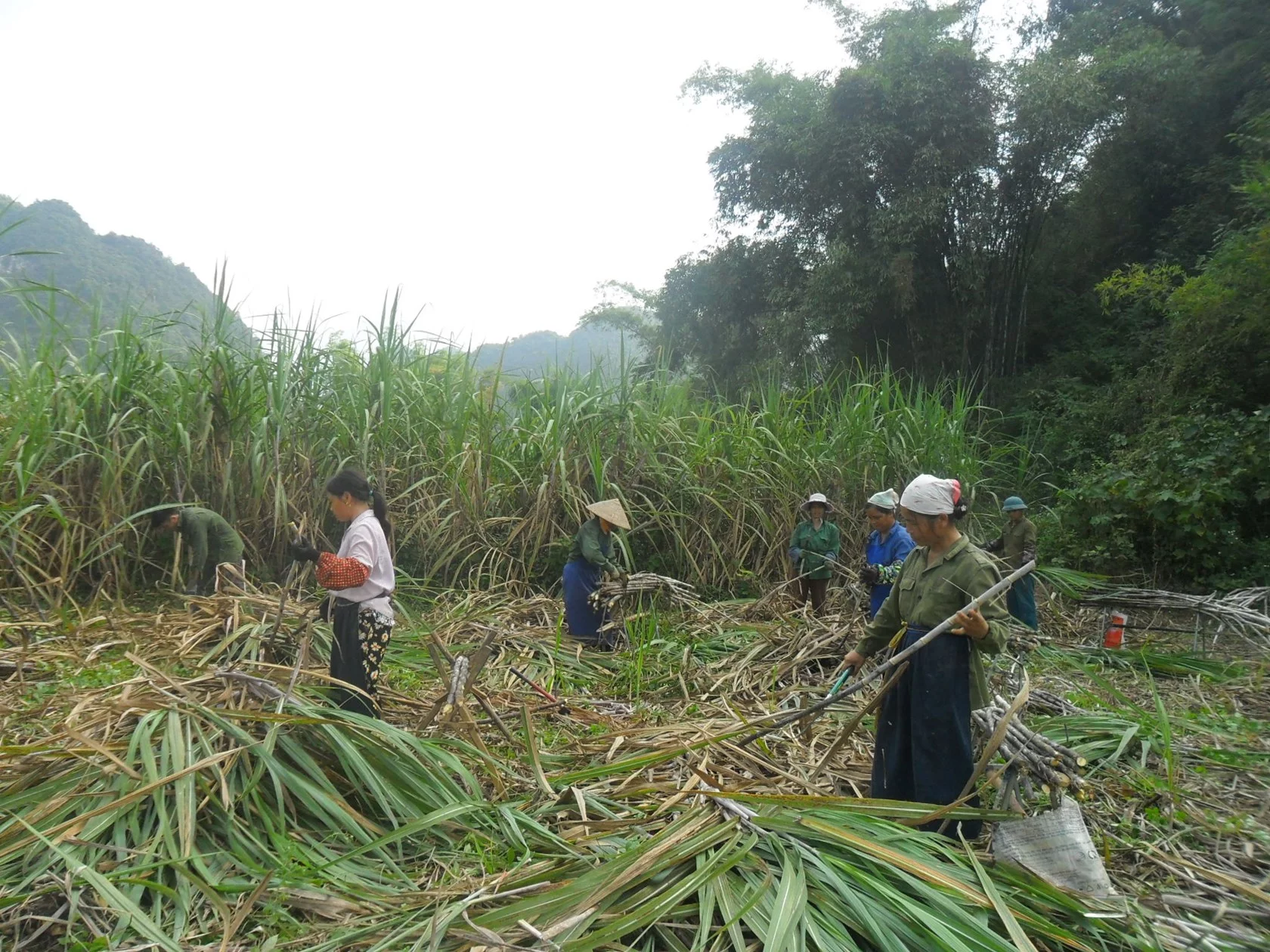 Hoa An Cao Bang Cycling Hoa An Cao Bang Cycling