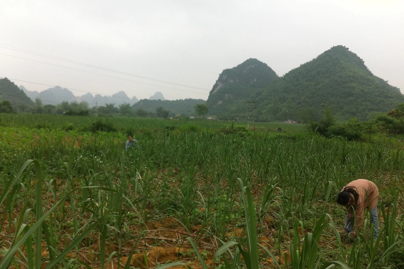 Phuc Hoa Cao Bang Cycling Phuc Hoa Cao Bang Cycling