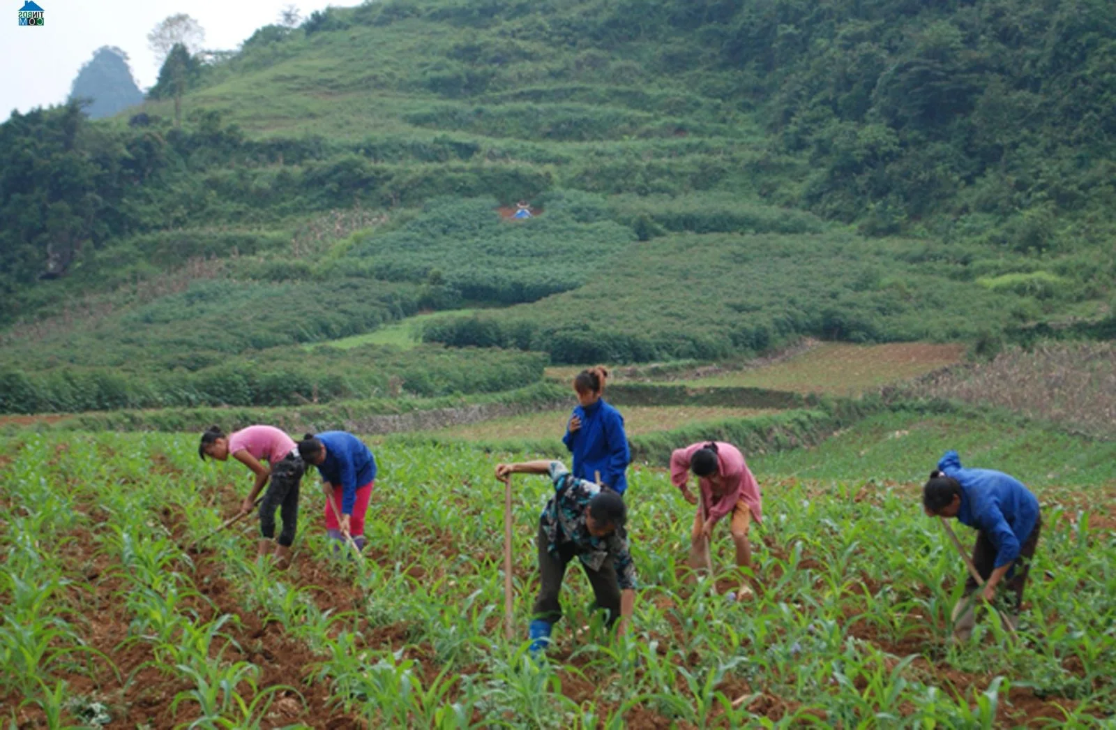 Tra Linh Cao Bang Cycling Tra Linh Cao Bang Cycling