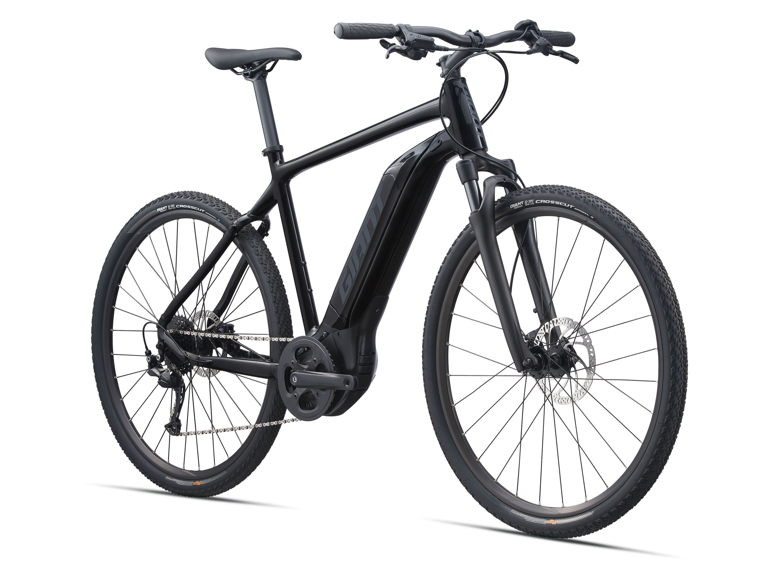 Giant Electric Assisted Bicycle Giant Electric Assisted Bicycle