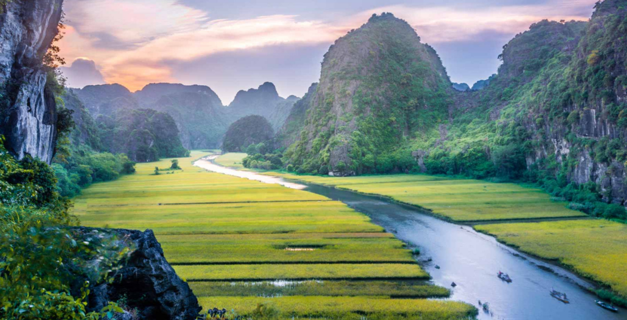 Cycling Through Golden Rice Fields: An Unforgettable Ride into the Heart of Vietnam