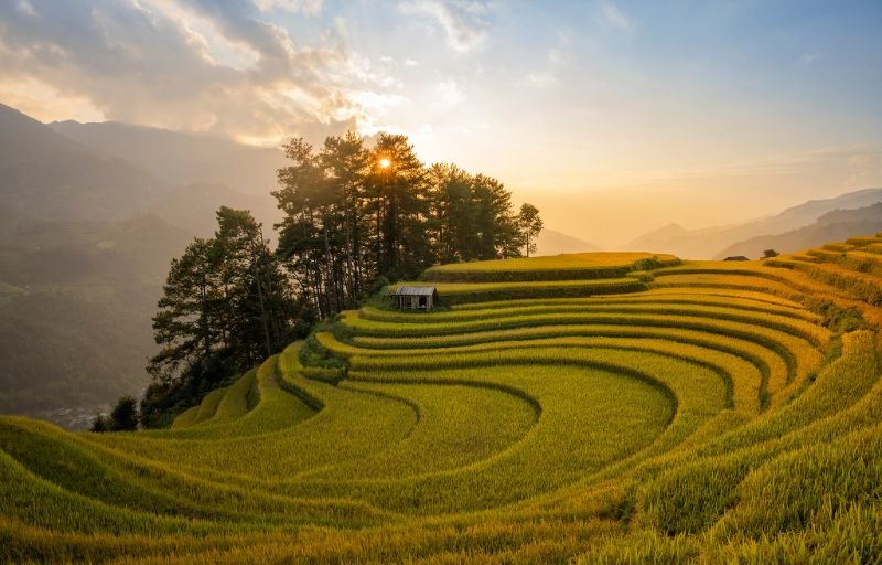 Mu Cang Chai Terraces: Pedaling Through the World’s Most Beautiful Rice Landscapes