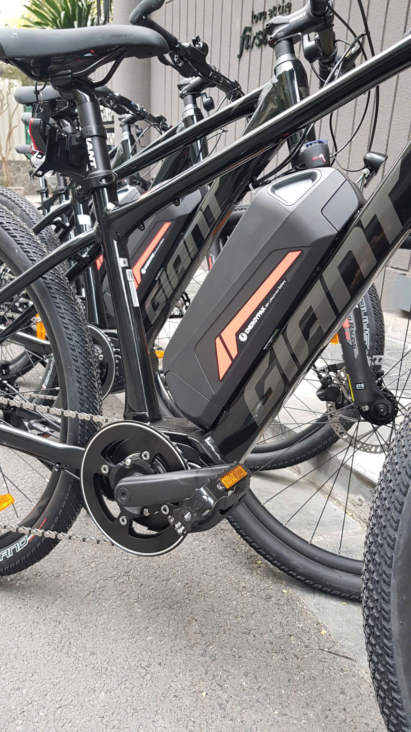 E-Bike Tours Ninh Binh & Cuc Phuong 2 Days