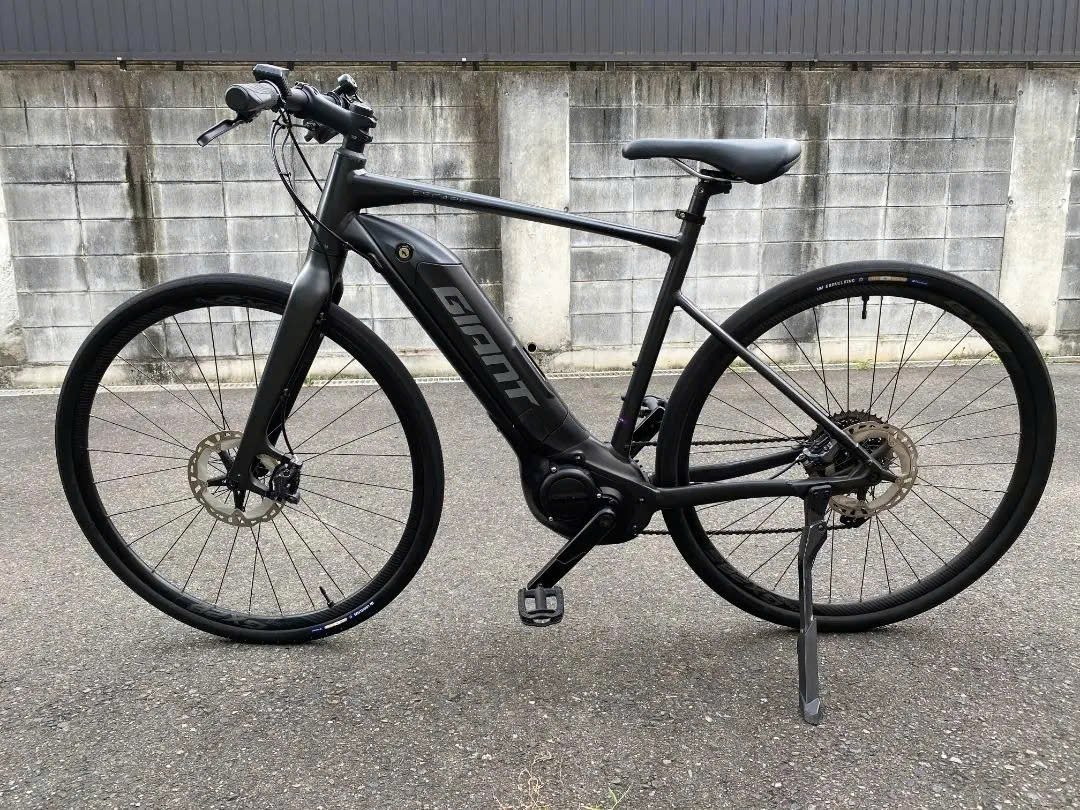 Salt in the Air, Wind in Your Hair: The Definitive Guide to a Coastal E-Bike Route in Vietnam