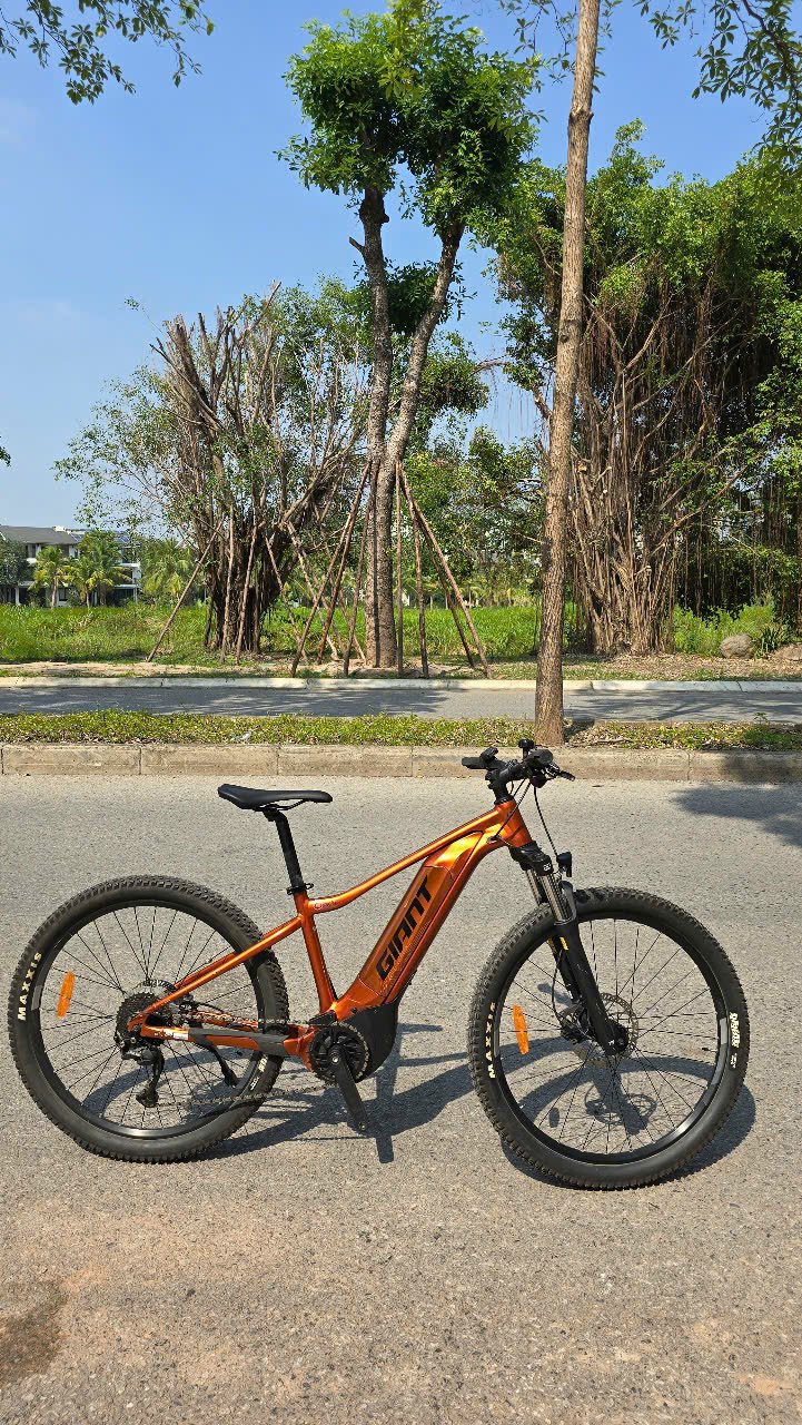 Conquering the Clouds: The Definitive Guide to a Sapa Electric Bike Tour