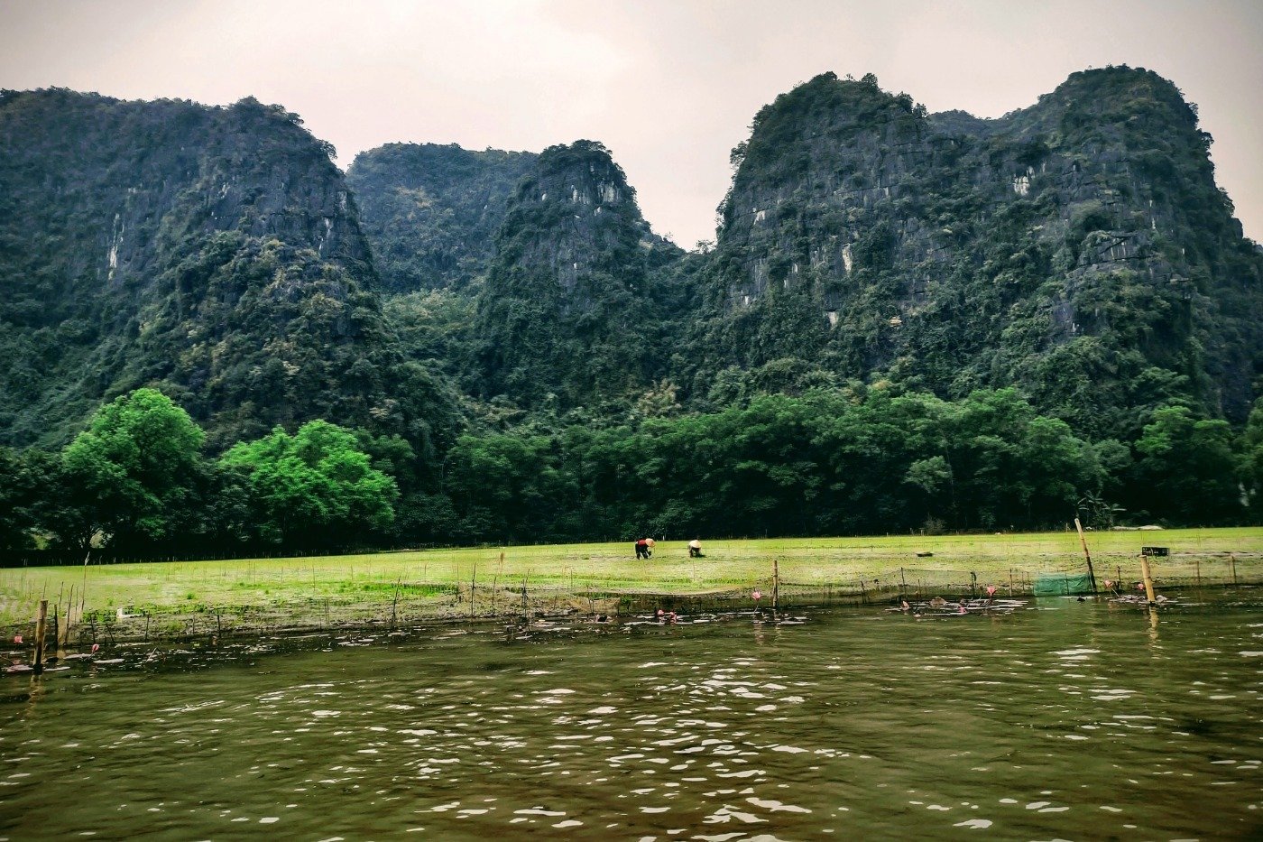 Escape the City: The Ultimate 1-Day Ninh Binh E-bike Tour from Hanoi Guide