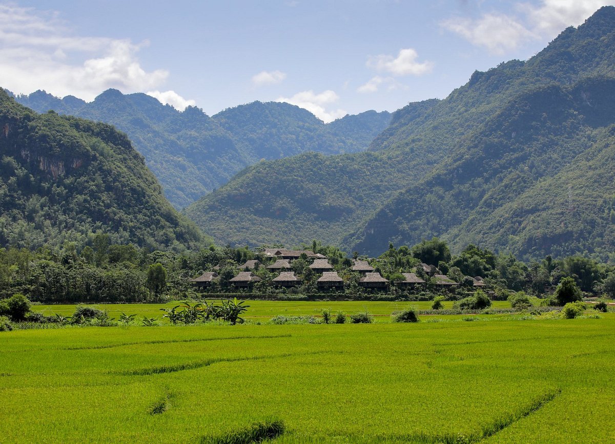 The Authentic Heartbeat: Exploring the North on a Mai Chau Village Cycling Tour