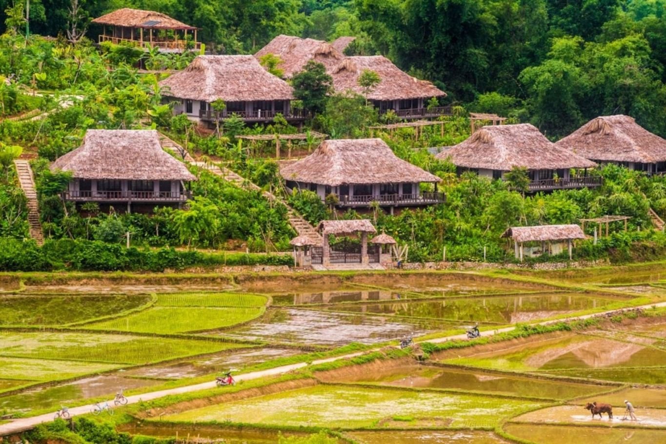 Green Travel Frontiers: The Ultimate Guide to an Eco-friendly Countryside E-bike Tour near Hanoi