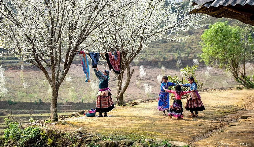 The Silent Frontier: Mastering the Art of Off-the-beaten-path E-bike Vietnam Travel