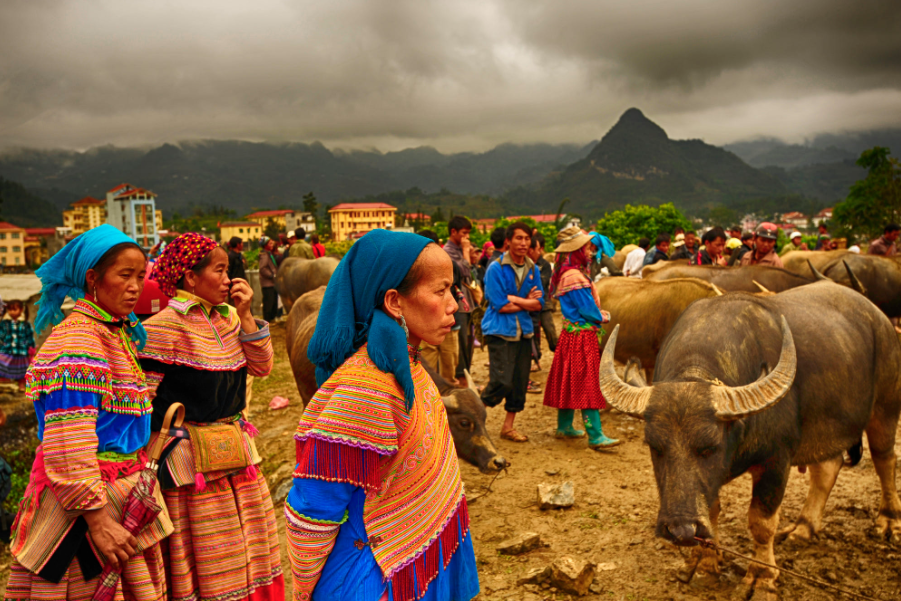 Beyond the Horizon: The Ultimate Bac Ha Homestay Cycling Tour Experience