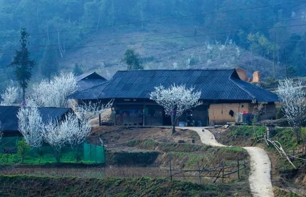 The Gateway to the Highlands: A Complete Guide to an Electric Bike Tour Bac Ha for Beginners