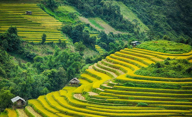 Beyond the Horizon: The Ultimate Bac Ha Ethnic Village Electric Bike Adventure