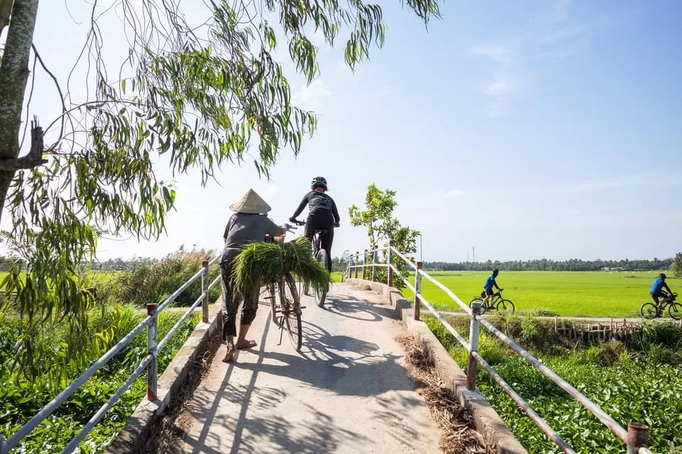 The Great Traverse: A Complete Guide to the Hanoi to Saigon Electric Bike Journey