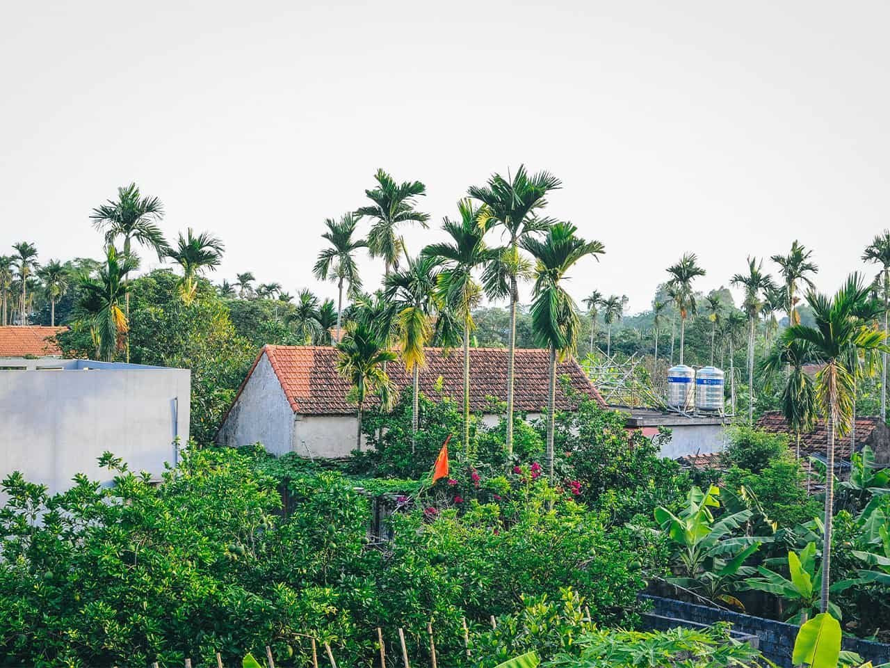 Half-Day Hanoi E-Bike Tour: Exploring Ancient Co Loa Citadel