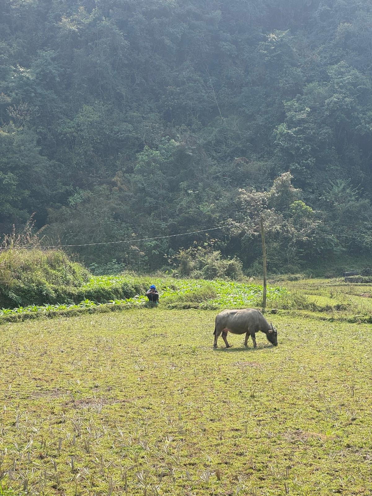 Cao Bang E-Bike Discovery: 6-Day Electric Mountain Bike Tour