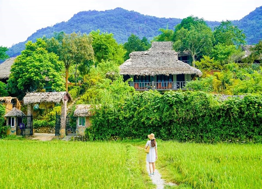 Electrify Your Adventure: The Definitive Guide to a Mai Chau E-Bike Tour