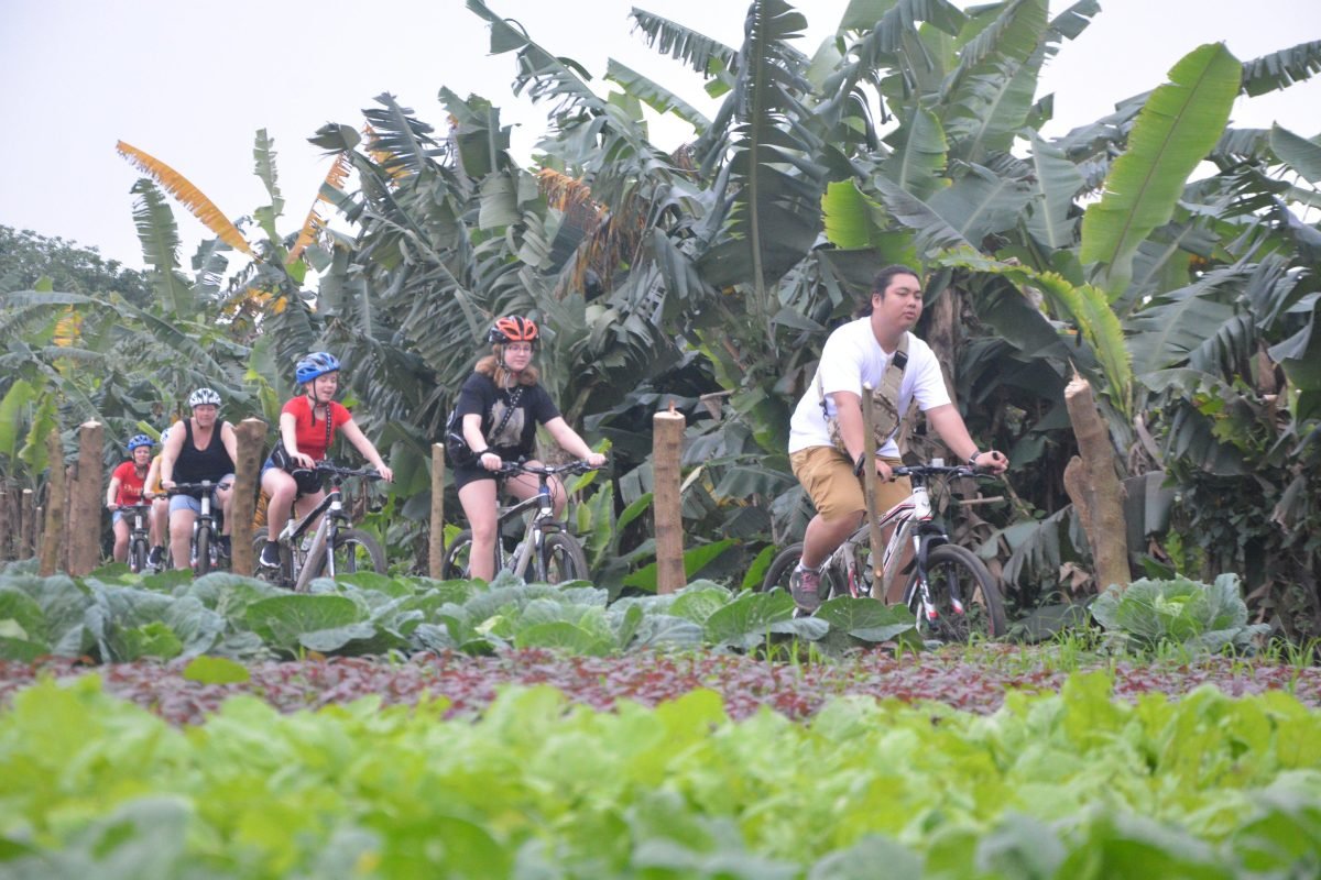 Discover the Authentic Hanoi Countryside by Bike: A Local Travel Guide