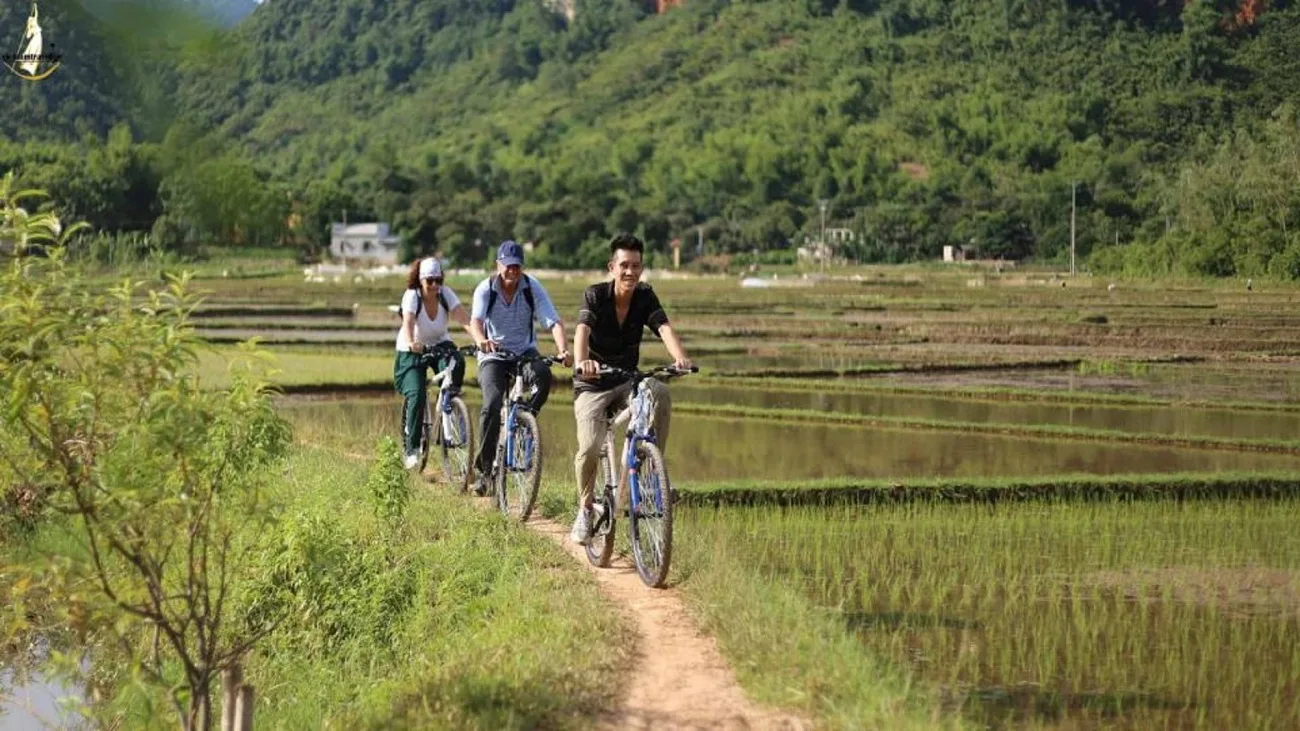 Ninh Binh Bike Tour Through Rice Fields: Ultimate Guide