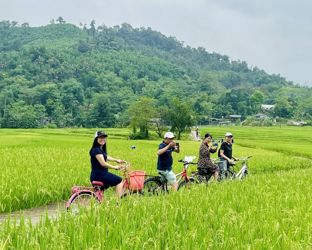 Ninh Binh Bicycle Holiday Package: The Ultimate Countryside Escape