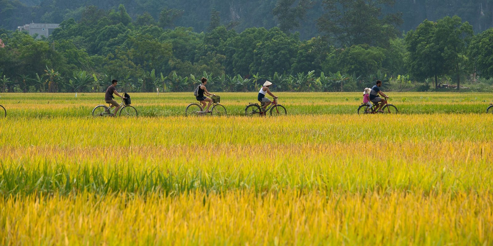 Ninh Binh Nature & Cycling Tour: The Ultimate Eco-Adventure Guide