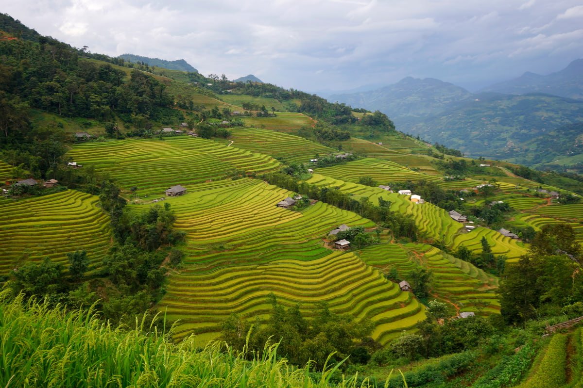 Sapa Bicycle Tour for Nature Lovers: Ultimate Eco-Cycling Guide