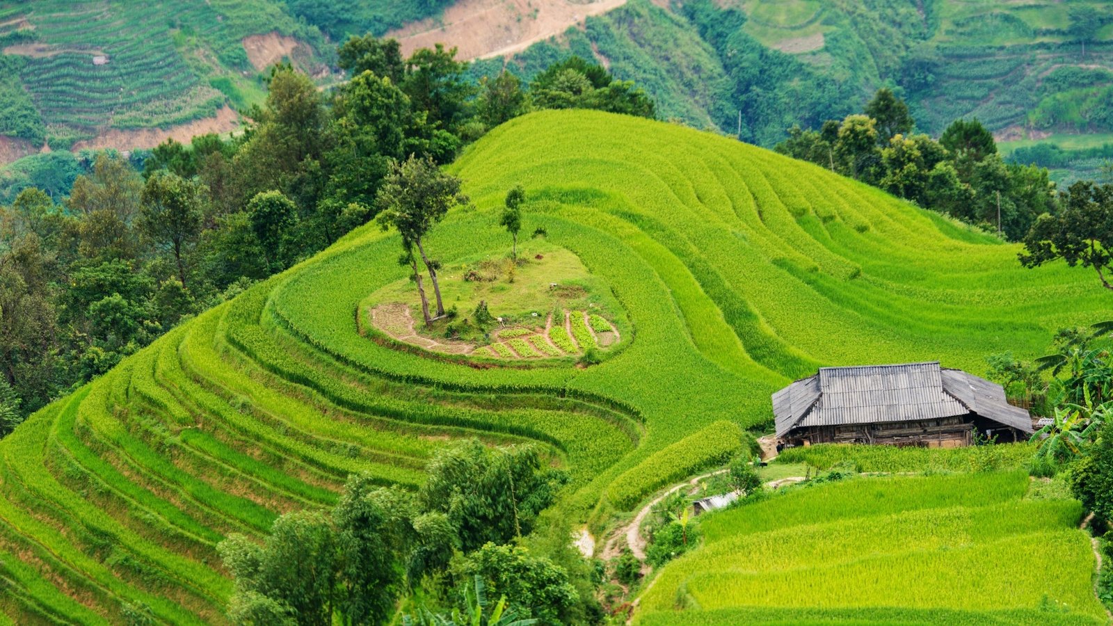 Explore Sapa by Electric Bike: The Ultimate Highland Eco-Adventure