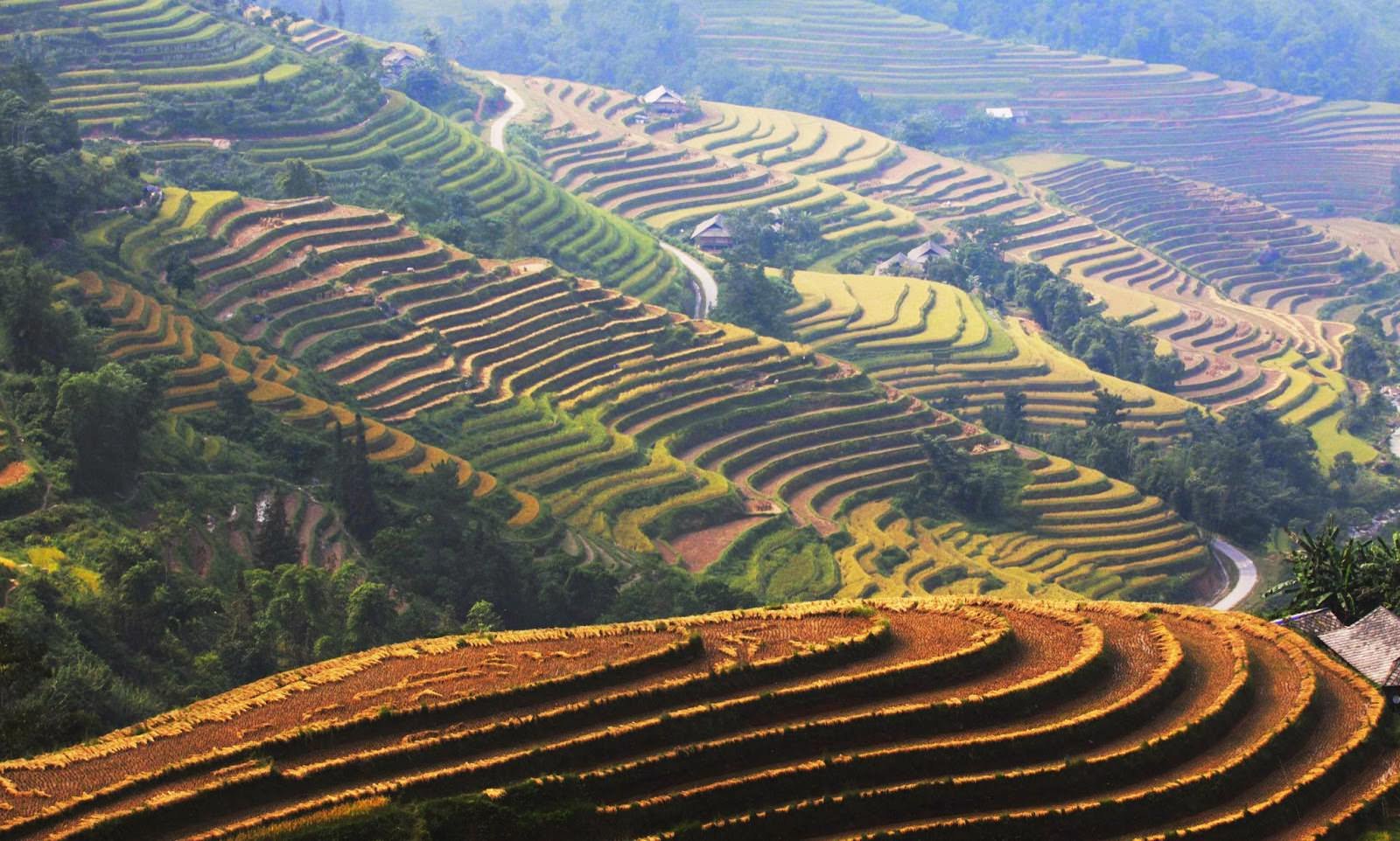 Family E-Bike Holidays Sapa: The Ultimate Multi-Generational Guide