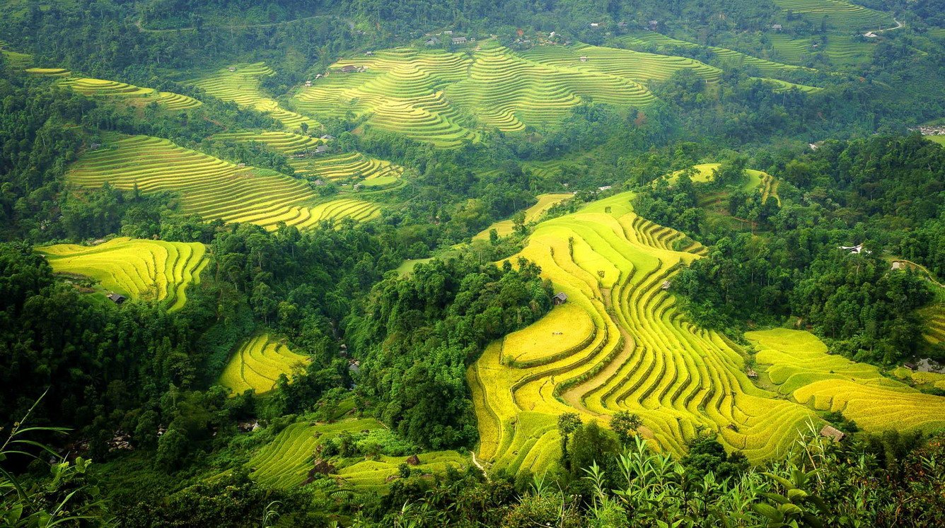 Cycling Through Hoang Su Phi Rice Terraces: The Ultimate Route Guide