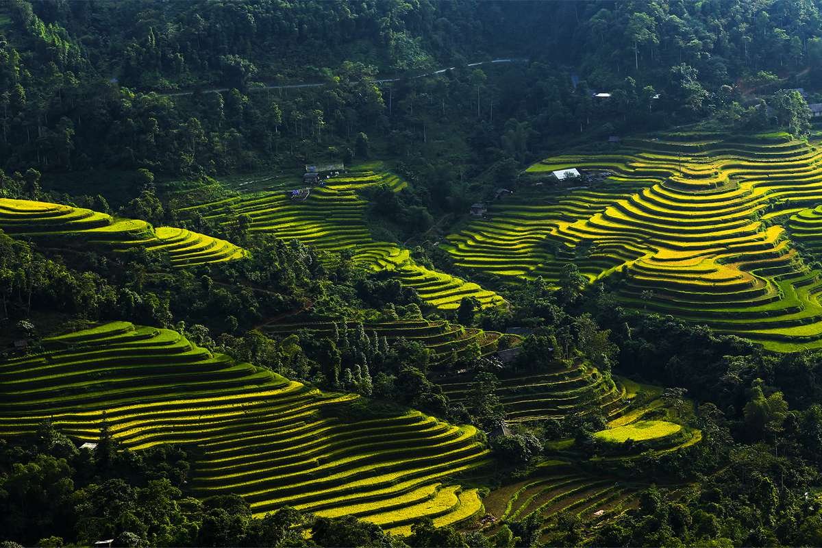 Hidden Villages Cycling Hoang Su Phi: Ultimate Trail Guide