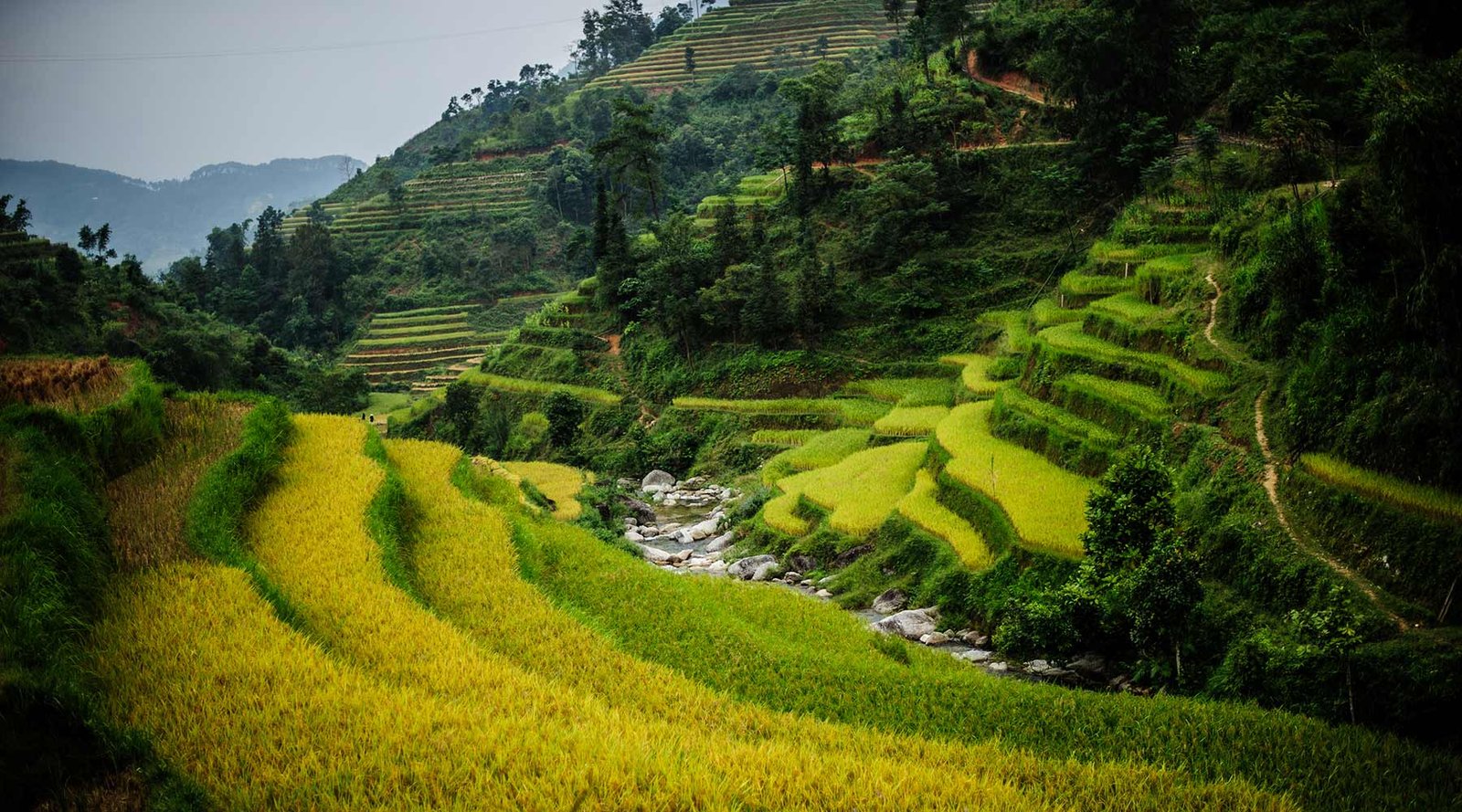 Hoang Su Phi Mountain Bike Tour: Ultimate Off-Road Guide