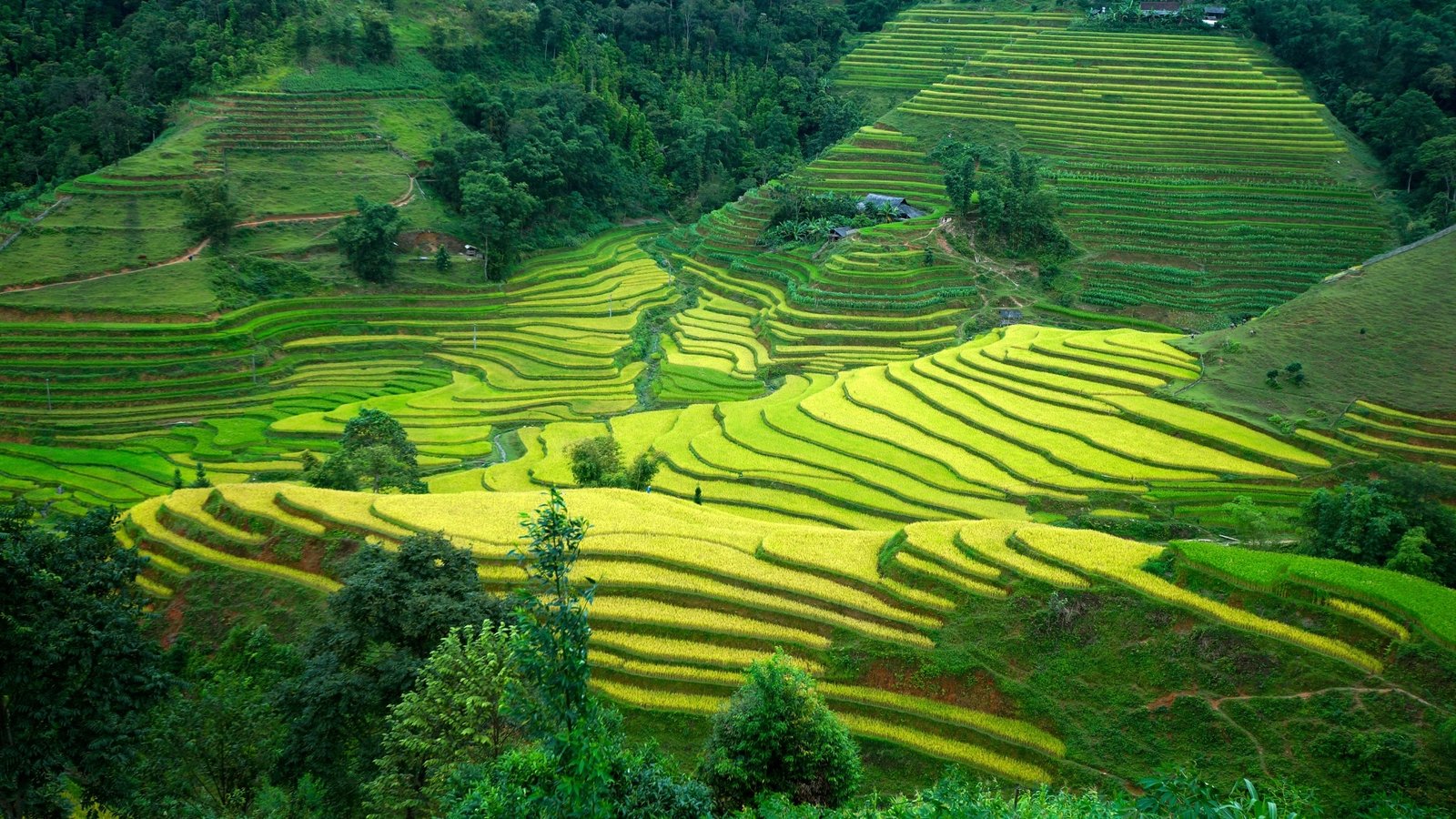 Explore Hoang Su Phi by E-Bike: The Ultimate Guide to Northern Vietnam’s Hidden Terraces