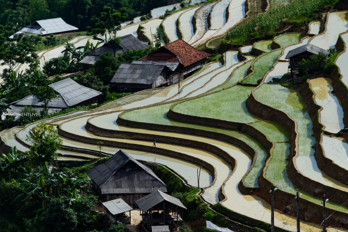 Best E-Bike Routes Hoang Su Phi: Ultimate Guide to Ha Giang's Terraced Wonders