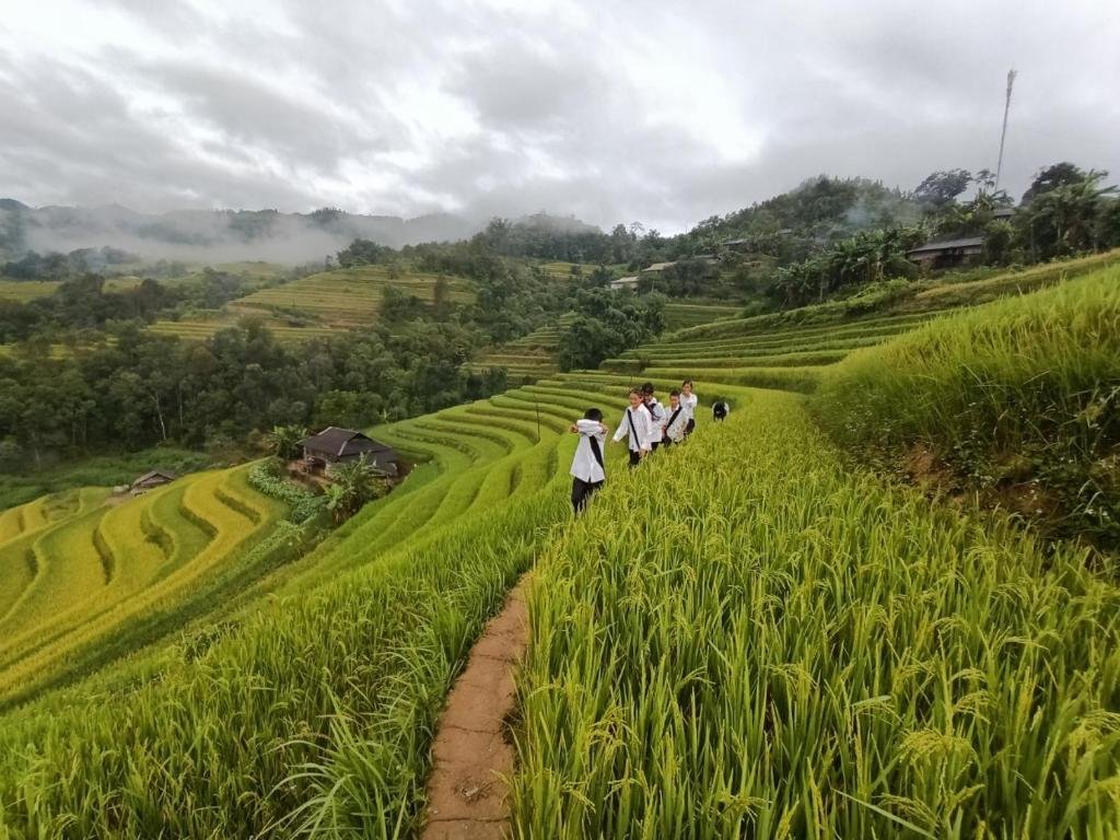 Hoang Su Phi Village E-Bike Experience: The Ultimate Highland Journey