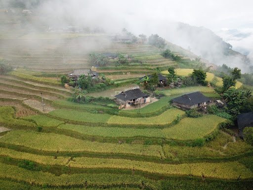 Hidden Gems Cycling Hoang Su Phi: Discover Ha Giang's Untamed Terraced Trails