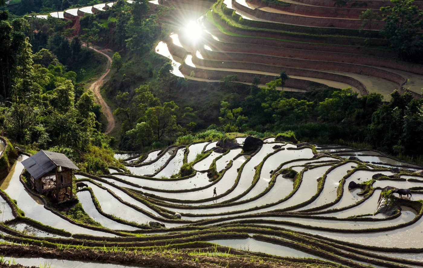 Cycling Through Remote Mountain Villages: The Ultimate Guide to Northern Vietnam's Highland Secrets