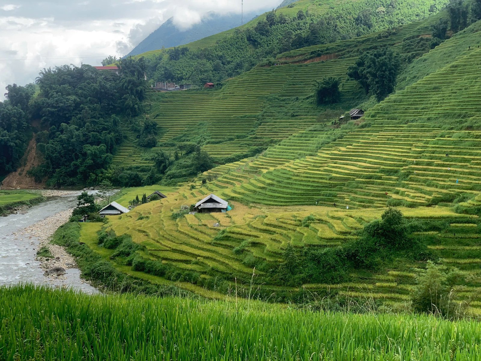 Easy E-Bike Adventures Ha Giang: The Ultimate Loop Guide