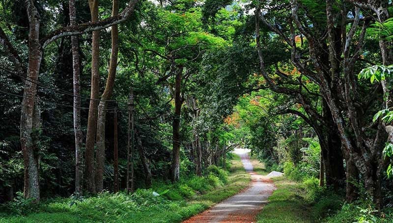 Ba Vi National Park Cycling Tour: 1-Day Mountain Peak Climb Near Hanoi