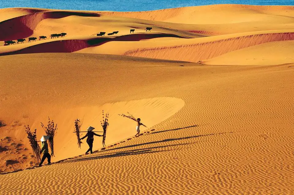 Mui Ne Sand Dune Cycling Tour: Ride Breathtaking Desert Coastlines
