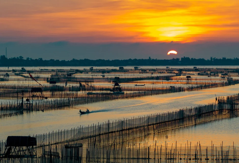 Tam Giang Lagoon Sunset Bike Tour: Explore Hue's Peaceful Wetlands