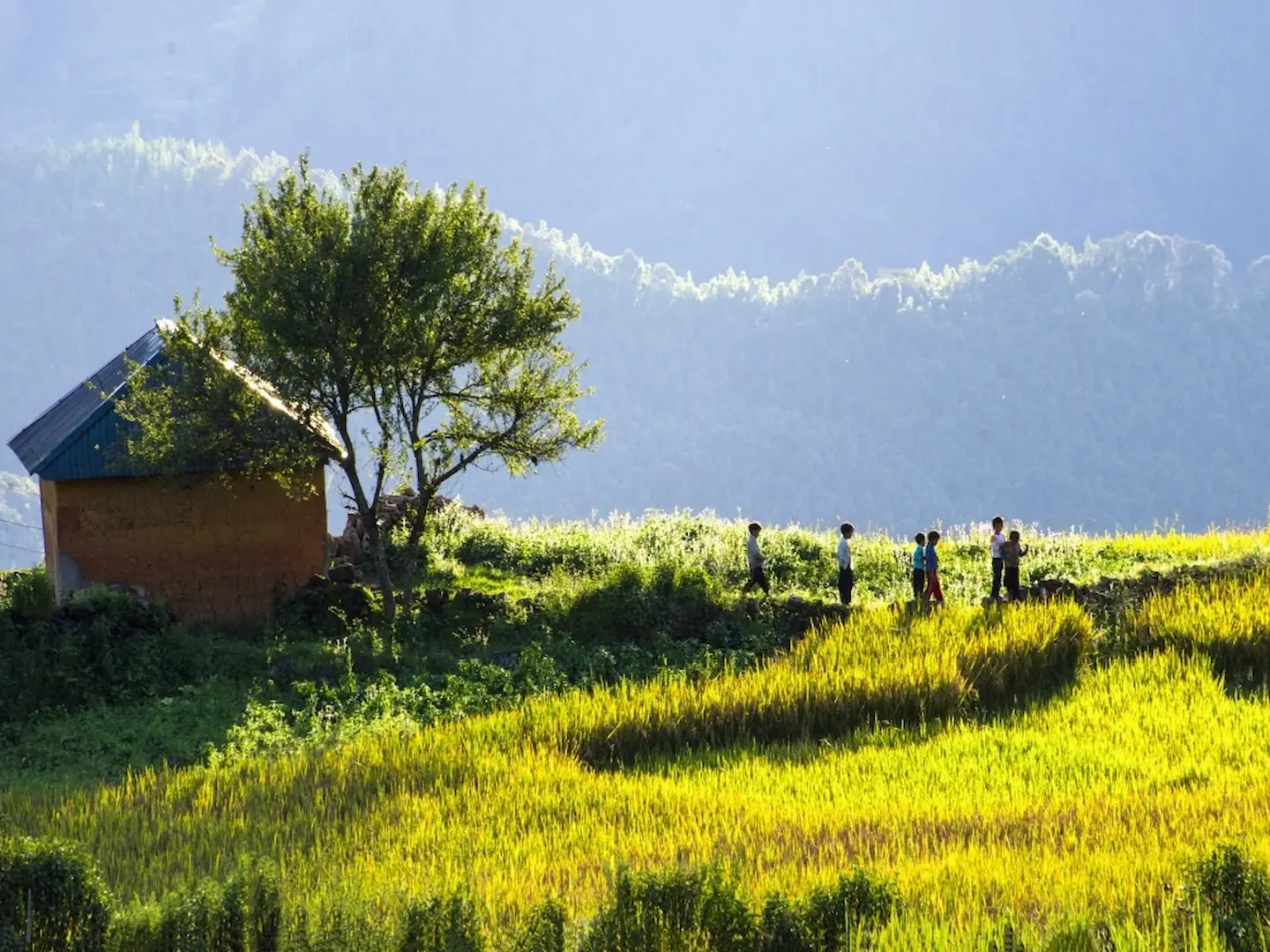 Sapa to Y Ty Gravel Guide: The Ultimate Mixed-Terrain Challenge