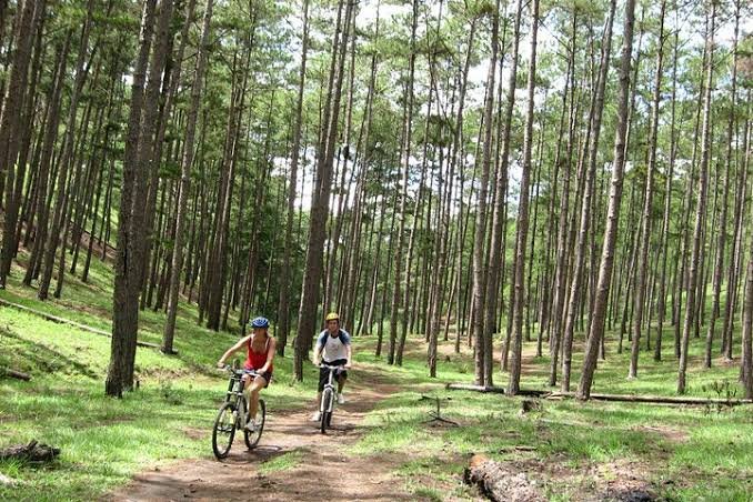 Peak Performance: Riding the Misty Hills of the Southern Highlands