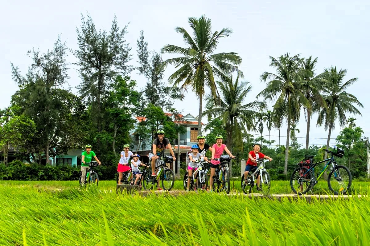 Vietnam Ebike Cycling Tours: Glide Effortlessly Through Endless Rice Fields