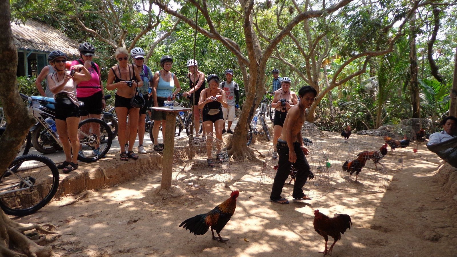 Real Reviews: What Cyclists Say About Our Mekong Delta Bike Tours