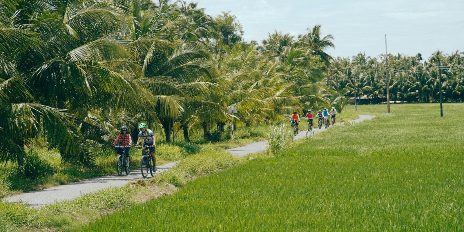 Mekong Delta Bike Tours: Ride Under Shady Palm Canopies in Ben Tre