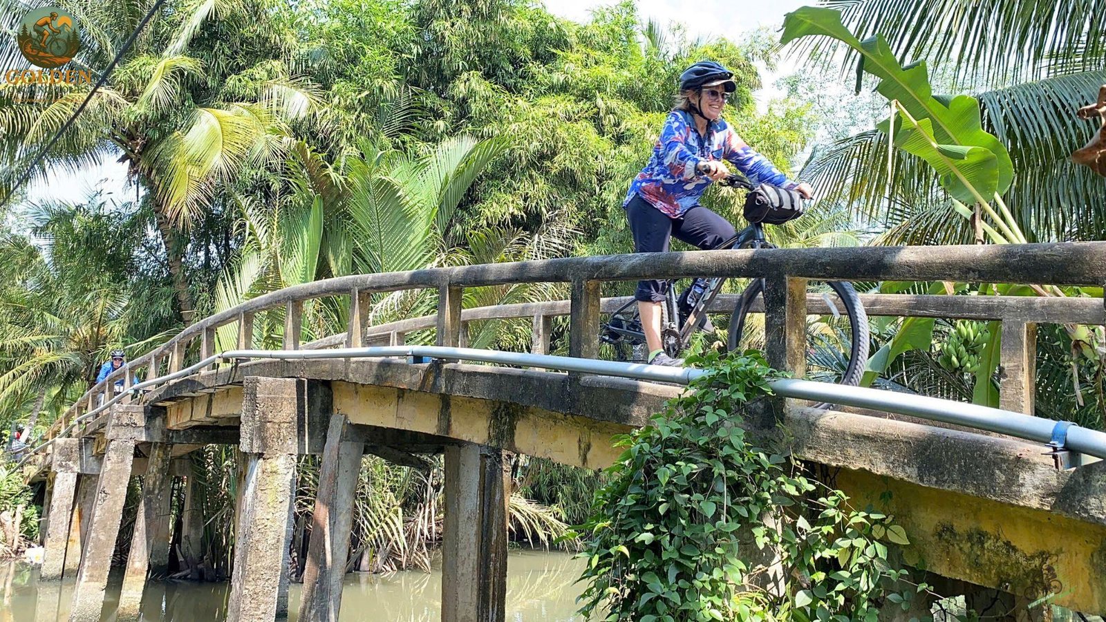 Mekong Delta Bike Tours: Traverse Lotus Fields in Dong Thap