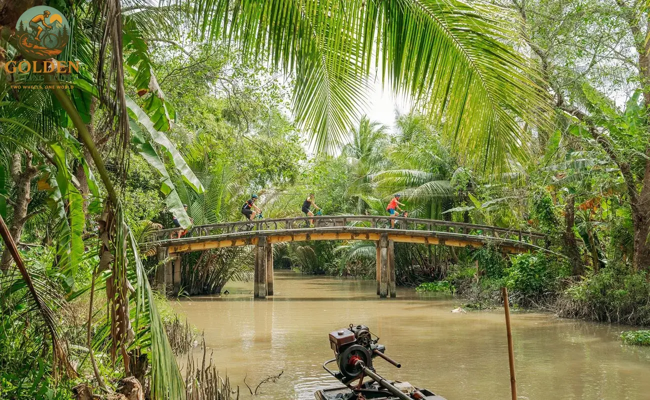 Mekong Delta Bike Tours: Explore Tra Su Cajeput Forest by Bike & Boat: The Ultimate Wetland Adventure